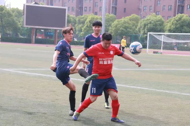 猛龙主场大胜公牛，四名球员得分超20